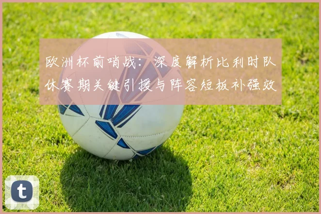 欧洲杯前哨战:深度解析比利时队休赛期关键引援与阵容短板补强效果
